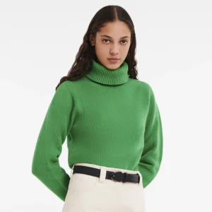 Longchamp Damengürtel^Damen Gürtel