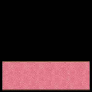 Longchamp Schal^Damen Schals | Schals