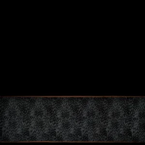 Longchamp Schal^Damen Schals | Schals