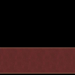 Longchamp Schal^Damen Schals | Schals